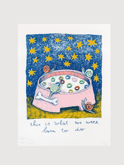 Jesse Fischer – This is what we were born to do